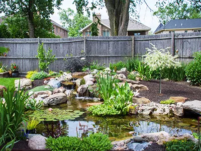 Average Sized Backyard Pond