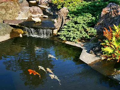 Pond Shark Pond Net - Harrod Horticultural