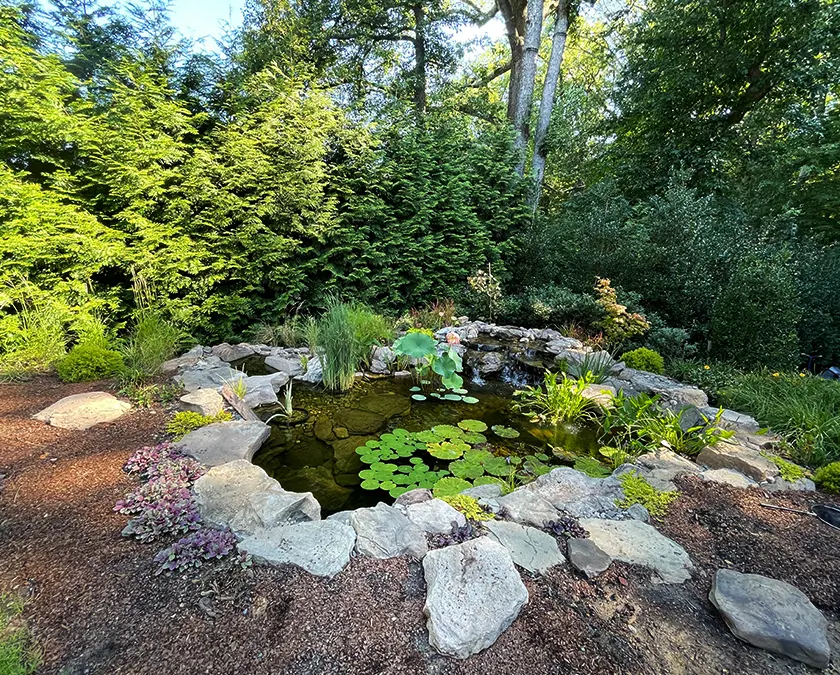 Backyard Pond Construction