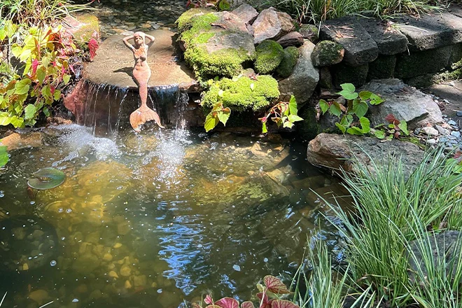 Mermaid statue at the top of a small waterfall as a koi pond idea